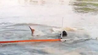 Another Dummy thinks hes a strong swimmer