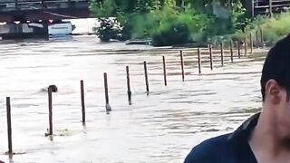 Another Dummy thinks hes a strong swimmer