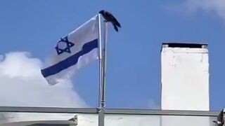 Iran has begun using warbirds against Israel