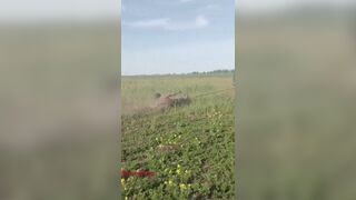 We Call this the Jasper Hayride (Wait for it, it's Brutal)