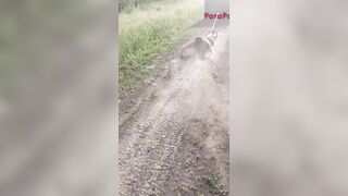 We Call this the Jasper Hayride (Wait for it, it's Brutal)