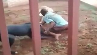 Scooby and Scrappy Doo handle a burglar