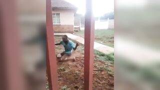 Scooby and Scrappy Doo handle a burglar