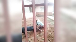 Scooby and Scrappy Doo handle a burglar