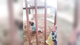 Scooby and Scrappy Doo handle a burglar
