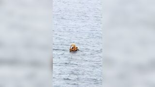 INCREDIBLE: Daughter Fell Overboard, Father Jumps in to Save Her! Holds Her Up Entire Time Waiting for Rescue