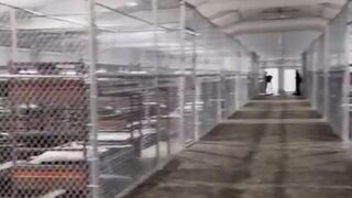 Inside the Alligator Alcatraz
