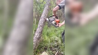 Exactly what you are NOT supposed to do with a Chainsaw if it gets Stuck