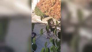 Man breaks Shovel over the Head of Opposing Football Fan