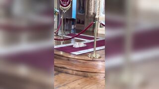 Devout Catholic Cat lives in One of the Churches and watches Mass and follows the Priest