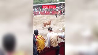 New Bull Goring: Beast makes an Example of One man