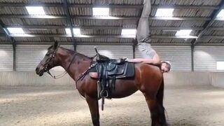 Girl shows us the New Way to take a Horse' Temperature