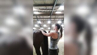 Girl shows us the New Way to take a Horse' Temperature