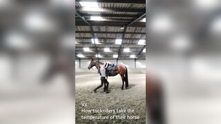 Girl shows us the New Way to take a Horse' Temperature