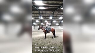 Girl shows us the New Way to take a Horse' Temperature
