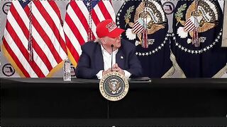 Dementia Don