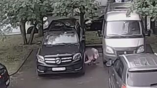 Wanna-be Unabomber plants Explosive under Car of Military Employee