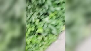Man lets his Muscular Pitbull attack on Woman because he can