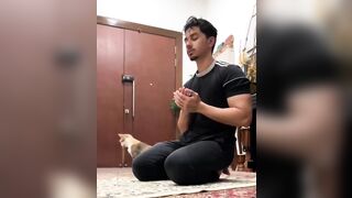 The cat's reaction to Islamic prayer.