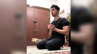 The cat's reaction to Islamic prayer.