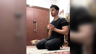 The cat's reaction to Islamic prayer.