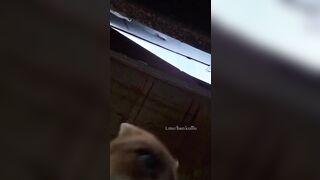 Fox plays "Dumb like a Fox" and runs with it