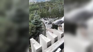 Seagulls have the Best Sense of Humor: They laugh at their Friend who can't Land Properly