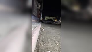 A little help here please!? Cute Rodent has Plastic stuck on Him and comes for help