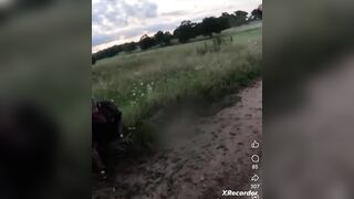 Deer V Dirtbike