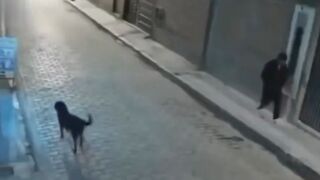 Man tries to kick a dog - He instantly meets Mr. Karma