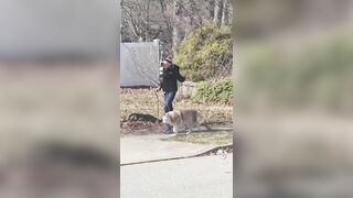 Eight month anniversary of her neighbor hating her Trump signs so woman turns it up!