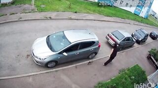 The girl was late for work because she was being stalked by a kitten.