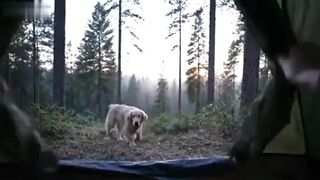 Waking up in the forest with your best buddy