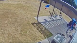 This is exactly why Americans have Guns..(Sunday, fun video)