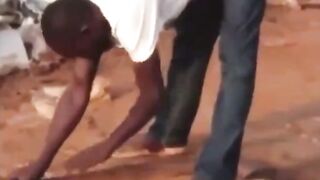 Cobra Whisperer