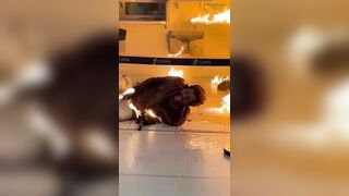 Man sets fire to lottery shop in Florianópolis mall, injuring 5; VIDEO