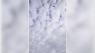 Is it a Plane ? Yes its a Plane !