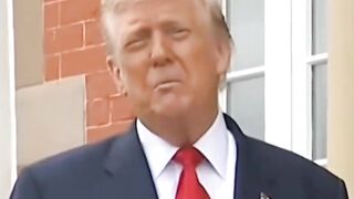 PIN: Trump says what we've been showing on this site for months. Europe is Falling