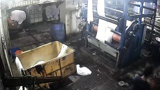 Stupidity like this gives Instant Karma