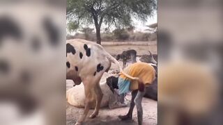 Bush People Cleaning Service Arrived
