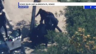 FAFO! Pursuit suspect punches LAPD officer, immediately finds out