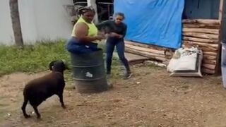 Racist Goat.