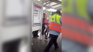 Riders assault CTA security on the Red Line in Chicago