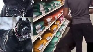 This guy lost control of his Cane Corso, luckily it had a muzzle on