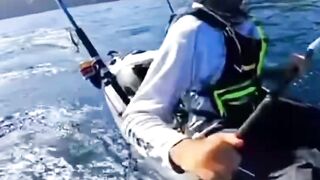 Great White chases kayak
