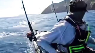 Great White chases kayak