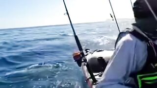 Great White chases kayak