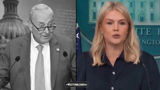 Chuck Schumer is lying to the American people & he knows it.