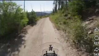 Scary close encounter