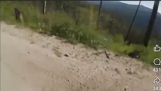 Scary close encounter